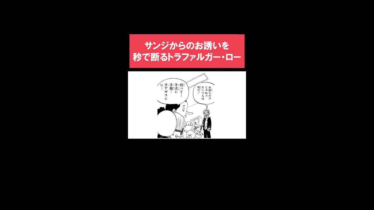 ワンピース 学園 - 海賊たちが集う学び舎の魅力と冒険